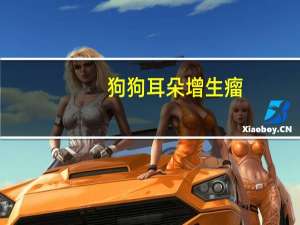 狗狗耳朵增生瘤