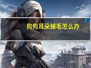 狗狗耳朵掉毛怎么办