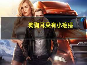 狗狗耳朵有小疙瘩