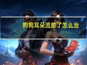 狗狗耳朵流脓了怎么治