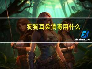 狗狗耳朵消毒用什么