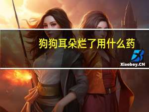 狗狗耳朵烂了用什么药
