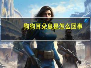 狗狗耳朵臭是怎么回事