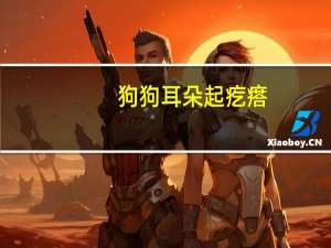 狗狗耳朵起疙瘩
