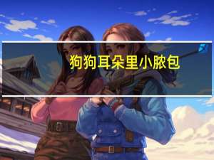 狗狗耳朵里小脓包