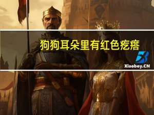 狗狗耳朵里有红色疙瘩
