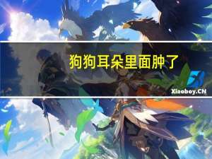 狗狗耳朵里面肿了