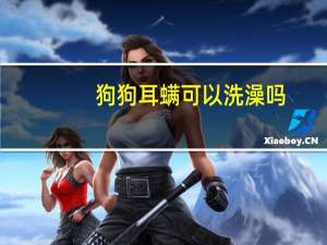 狗狗耳螨可以洗澡吗