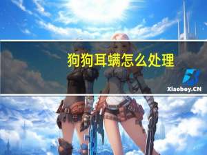狗狗耳螨怎么处理