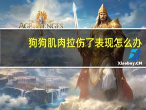 狗狗肌肉拉伤了表现怎么办