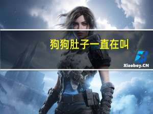 狗狗肚子一直在叫