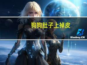 狗狗肚子上掉皮