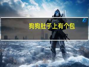 狗狗肚子上有个包