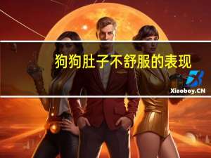 狗狗肚子不舒服的表现