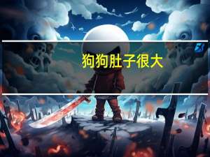 狗狗肚子很大