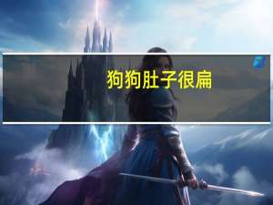 狗狗肚子很扁