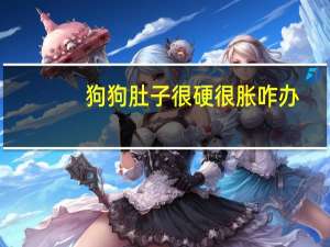 狗狗肚子很硬很胀咋办