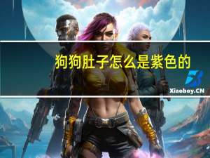 狗狗肚子怎么是紫色的