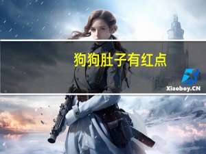 狗狗肚子有红点