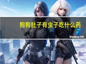 狗狗肚子有虫子吃什么药