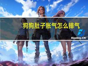 狗狗肚子胀气怎么排气
