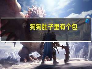 狗狗肚子里有个包