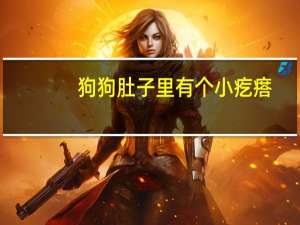 狗狗肚子里有个小疙瘩
