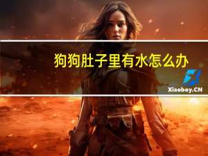 狗狗肚子里有水怎么办