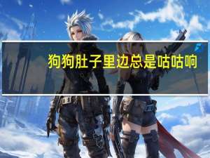 狗狗肚子里边总是咕咕响