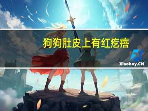 狗狗肚皮上有红疙瘩