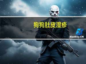 狗狗肚皮湿疹