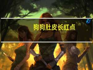 狗狗肚皮长红点