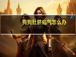 狗狗肚脐疝气怎么办
