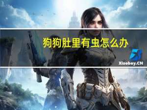 狗狗肚里有虫怎么办