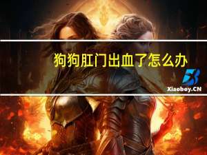 狗狗肛门出血了怎么办