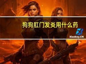 狗狗肛门发炎用什么药