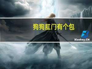 狗狗肛门有个包