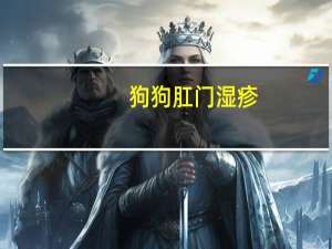 狗狗肛门湿疹