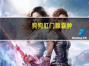 狗狗肛门腺囊肿
