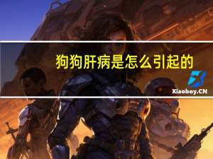 狗狗肝病是怎么引起的