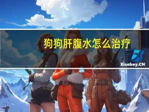 狗狗肝腹水怎么治疗