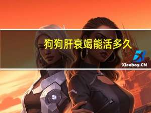 狗狗肝衰竭能活多久