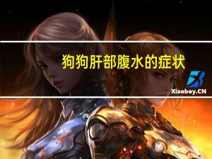 狗狗肝部腹水的症状