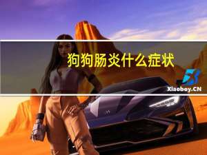 狗狗肠炎什么症状