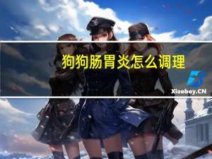 狗狗肠胃炎怎么调理