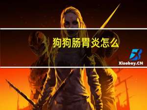 狗狗肠胃炎怎么