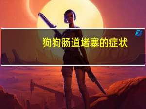 狗狗肠道堵塞的症状