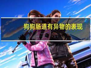 狗狗肠道有异物的表现