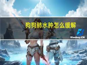 狗狗肺水肿怎么缓解