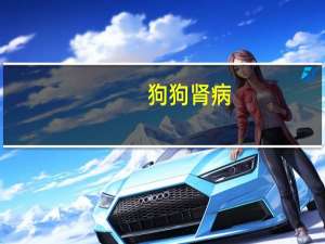 狗狗肾病